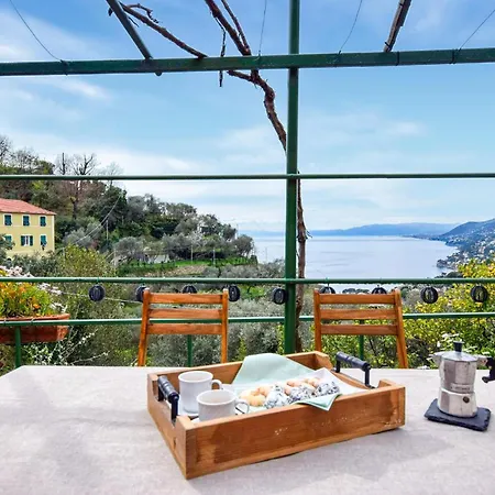 L'angelina Apartment Camogli