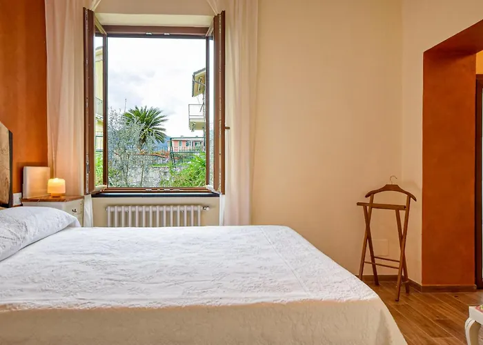 L'angelina 카모글리