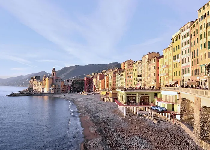 L'angelina * 카모글리