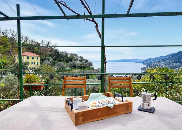 L'angelina 아파트 카모글리