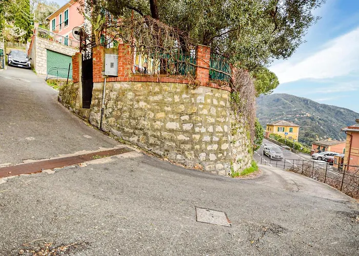 L'angelina * 카모글리